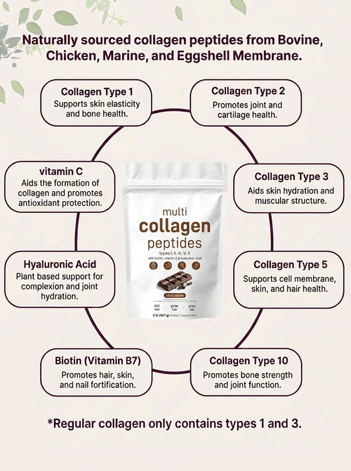 Collagen Peptides Powder (Chocolate)
